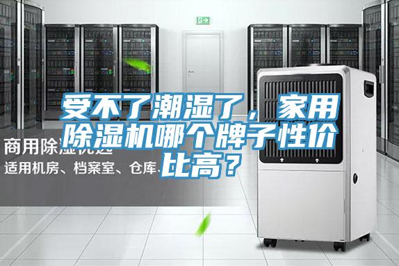 受不了潮濕了，家用除濕機哪個牌子性價比高？