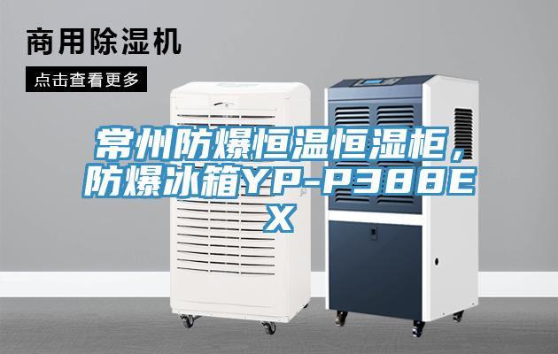 常州防爆恒溫恒濕柜，防爆冰箱YP-P388EX