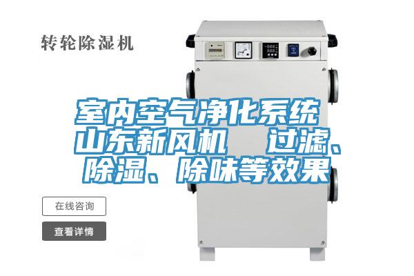 室內(nèi)空氣凈化系統(tǒng) 山東新風(fēng)機  過濾、除濕、除味等效果