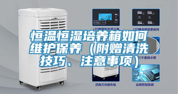 恒溫恒濕培養(yǎng)箱如何維護保養(yǎng)（附贈清洗技巧、注意事項）