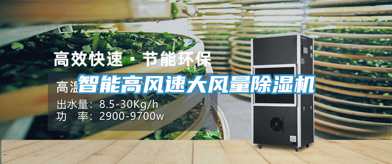 智能高風(fēng)速大風(fēng)量除濕機