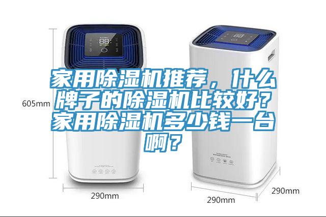 家用除濕機推薦，什么牌子的除濕機比較好？家用除濕機多少錢一臺啊？