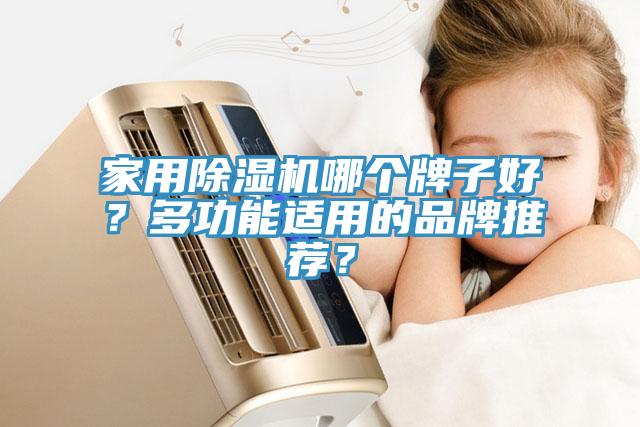 家用除濕機哪個牌子好？多功能適用的品牌推薦？