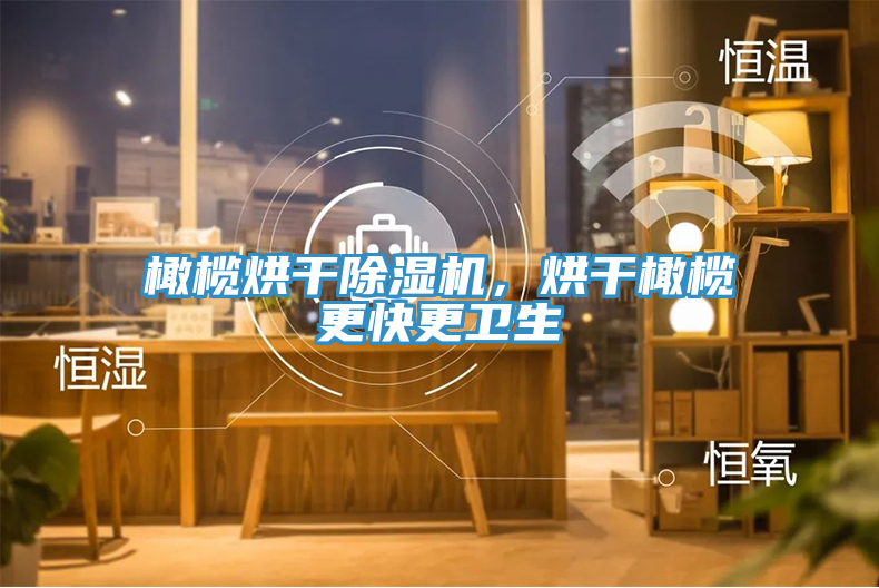 橄欖烘干除濕機(jī)，烘干橄欖更快更衛(wèi)生