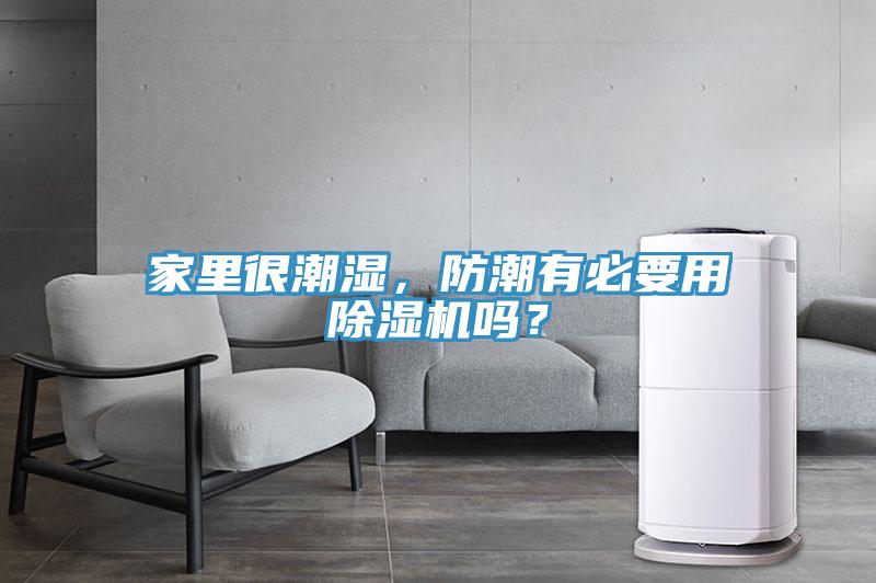 家里很潮濕，防潮有必要用除濕機(jī)嗎？