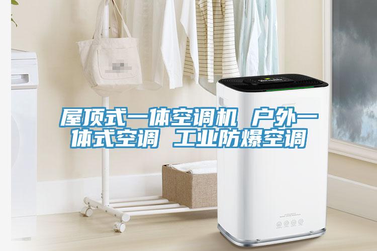 屋頂式一體空調機 戶外一體式空調 工業(yè)防爆空調