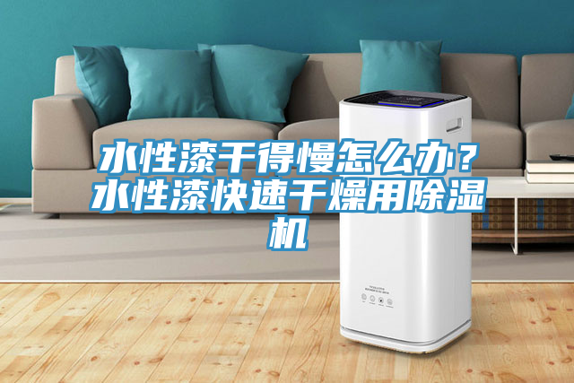 水性漆干得慢怎么辦？水性漆快速干燥用除濕機