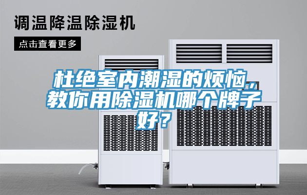 杜絕室內(nèi)潮濕的煩惱，教你用除濕機哪個牌子好？
