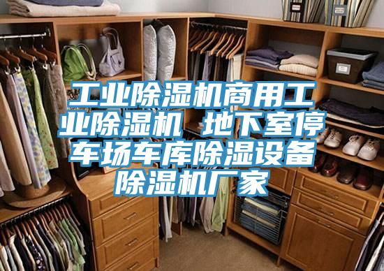 工業(yè)除濕機(jī)商用工業(yè)除濕機(jī) 地下室停車場(chǎng)車庫除濕設(shè)備除濕機(jī)廠家