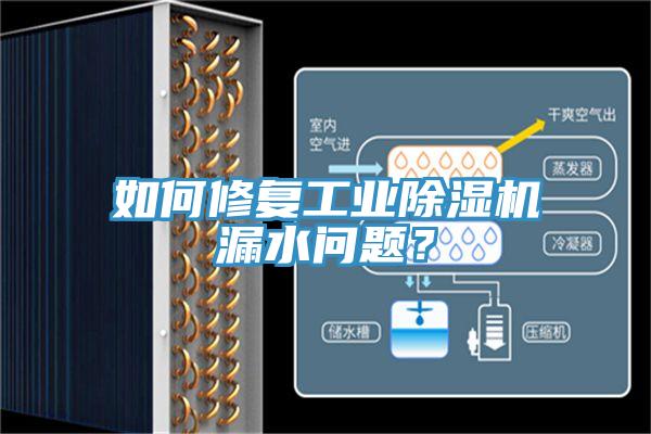 如何修復(fù)工業(yè)除濕機漏水問題？