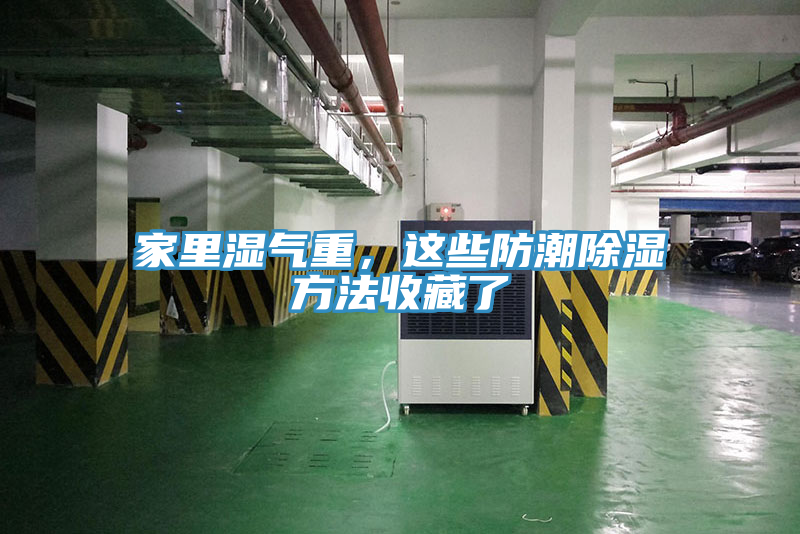 家里濕氣重，這些防潮除濕方法收藏了