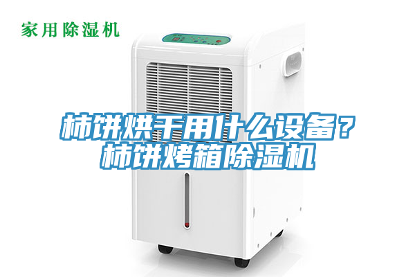 柿餅烘干用什么設(shè)備？柿餅烤箱除濕機(jī)