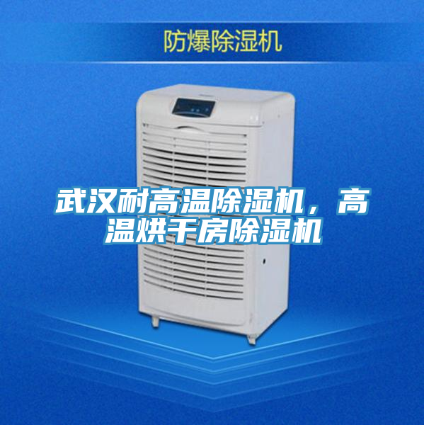 武漢耐高溫除濕機(jī)，高溫烘干房除濕機(jī)