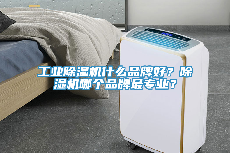 工業(yè)除濕機(jī)什么品牌好？除濕機(jī)哪個(gè)品牌最專業(yè)？