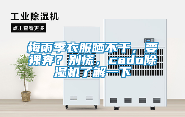 梅雨季衣服曬不干，要裸奔？別慌，cado除濕機(jī)了解一下