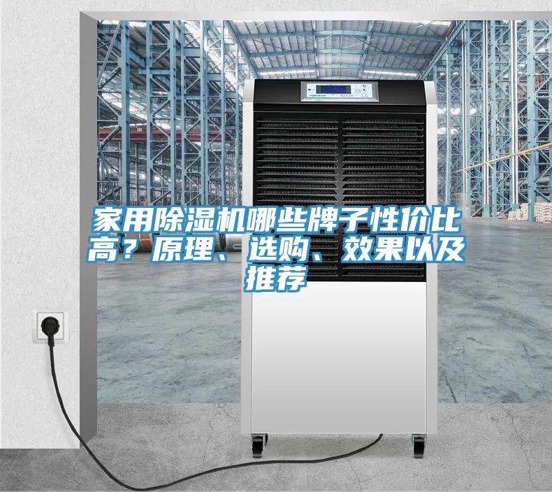 家用除濕機(jī)哪些牌子性價(jià)比高？原理、選購、效果以及推薦