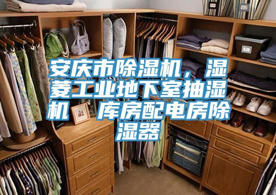 安慶市除濕機(jī)，濕菱工業(yè)地下室抽濕機(jī)  庫房配電房除濕器