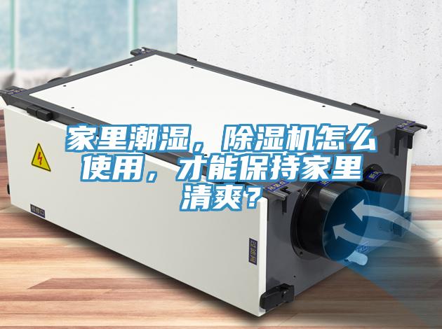 家里潮濕，除濕機(jī)怎么使用，才能保持家里清爽？