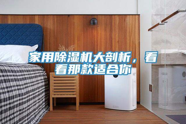 家用除濕機大剖析，看看那款適合你