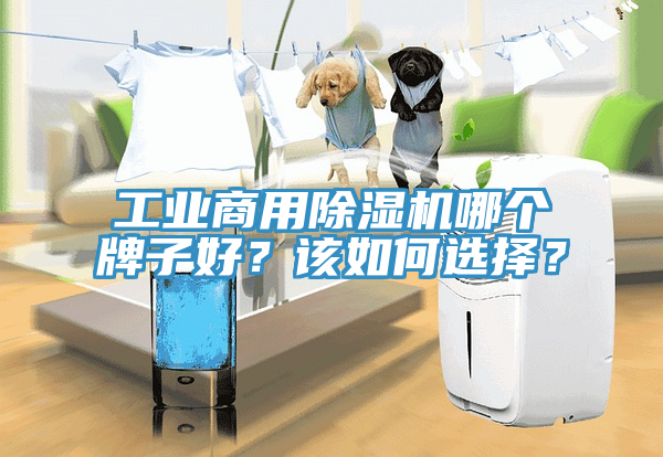 工業(yè)商用除濕機哪個牌子好？該如何選擇？