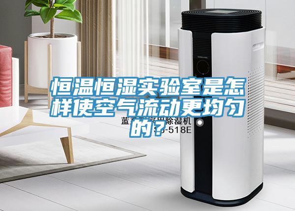恒溫恒濕實(shí)驗(yàn)室是怎樣使空氣流動(dòng)更均勻的？