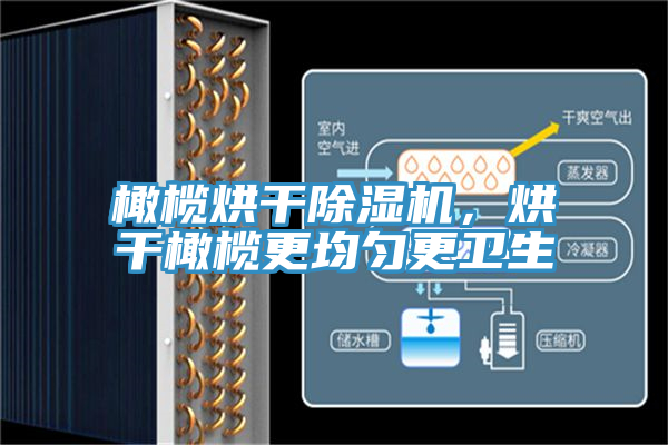 橄欖烘干除濕機(jī)，烘干橄欖更均勻更衛(wèi)生