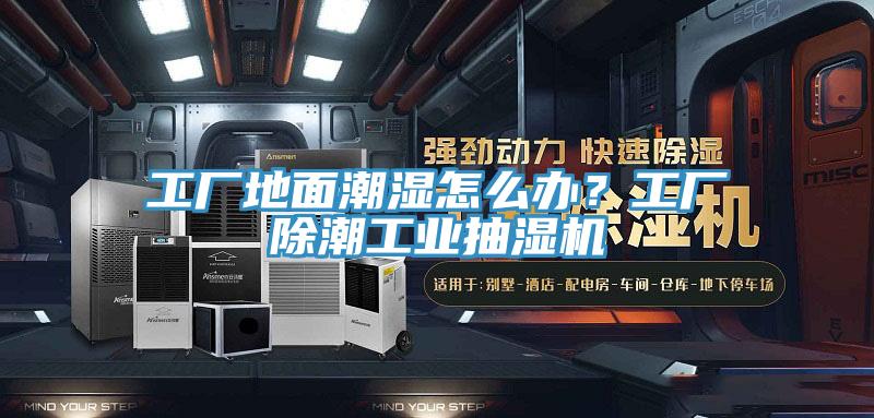 工廠地面潮濕怎么辦？工廠除潮工業(yè)抽濕機