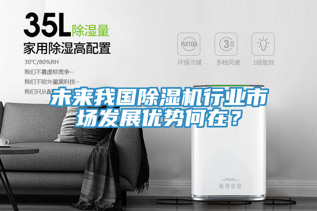 未來我國除濕機(jī)行業(yè)市場發(fā)展優(yōu)勢何在？