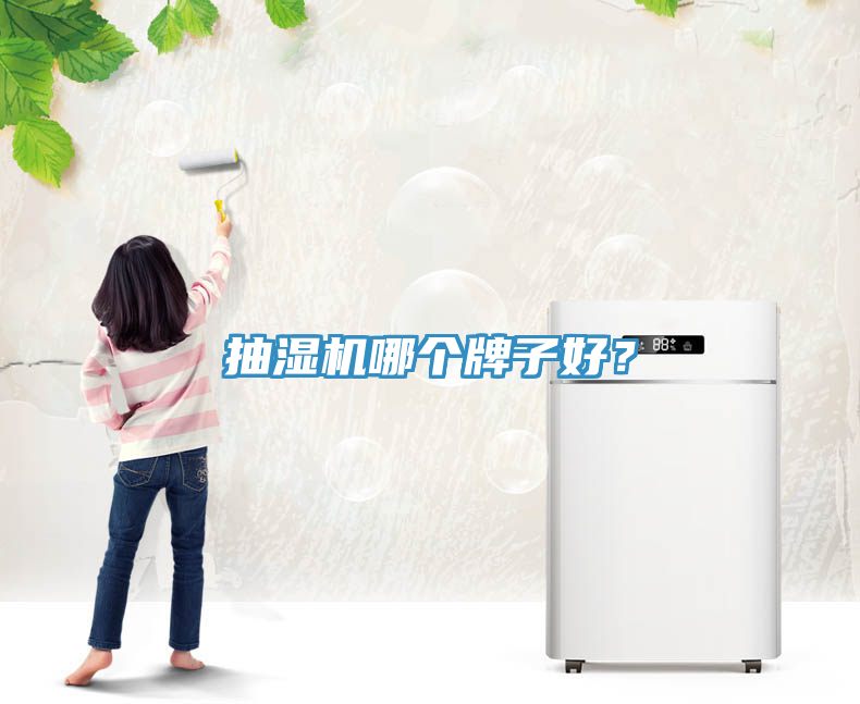 抽濕機(jī)哪個(gè)牌子好？
