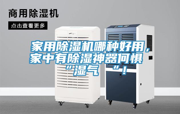 家用除濕機哪種好用，家中有除濕神器何懼 “濕氣 “！