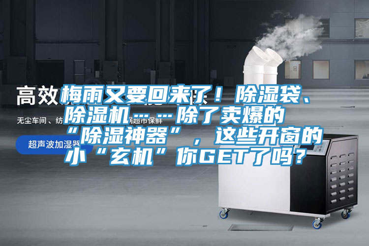 梅雨又要回來了！除濕袋、除濕機……除了賣爆的“除濕神器”，這些開窗的小“玄機”你GET了嗎？