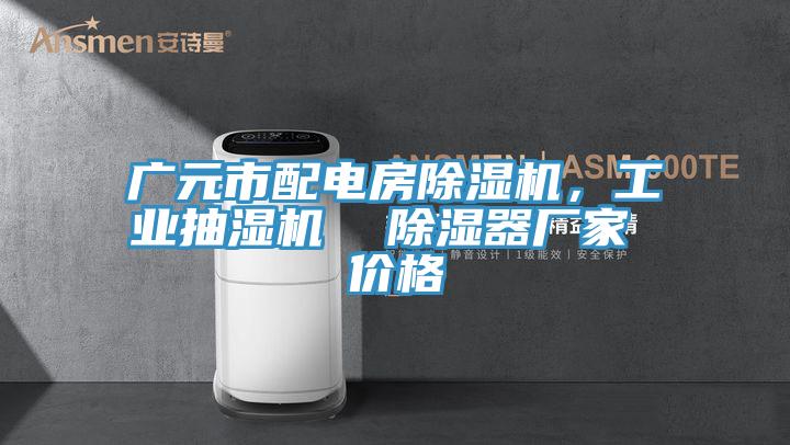 廣元市配電房除濕機(jī)，工業(yè)抽濕機(jī)  除濕器廠家 價格