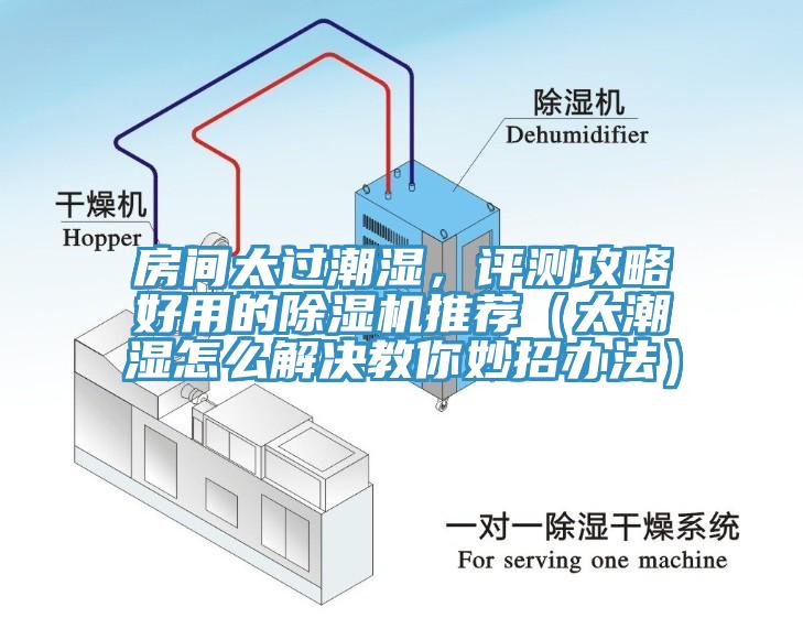 房間太過潮濕，評(píng)測(cè)攻略好用的除濕機(jī)推薦（太潮濕怎么解決教你妙招辦法）