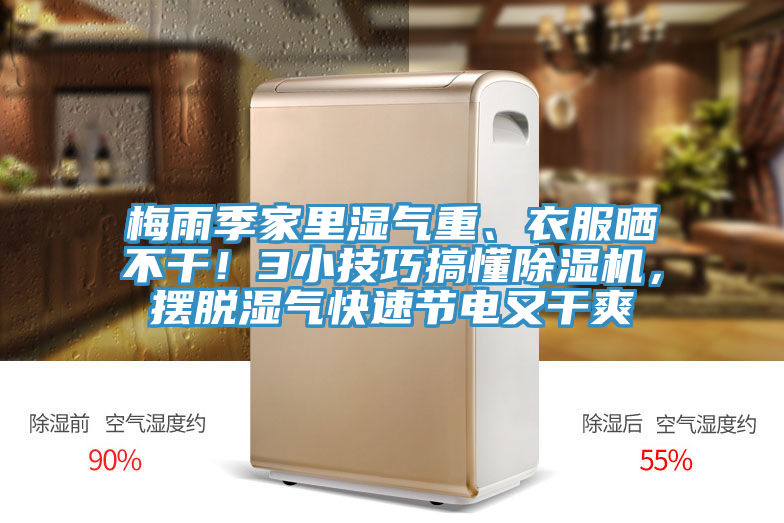 梅雨季家里濕氣重、衣服曬不干！3小技巧搞懂除濕機，擺脫濕氣快速節(jié)電又干爽