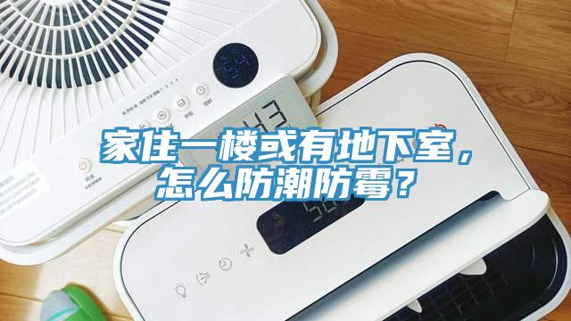 家住一樓或有地下室，怎么防潮防霉？
