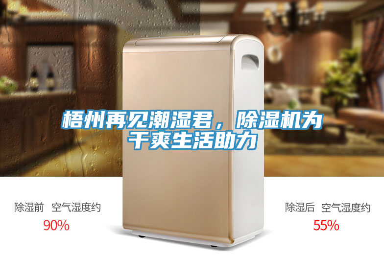 梧州再見(jiàn)潮濕君，除濕機(jī)為干爽生活助力