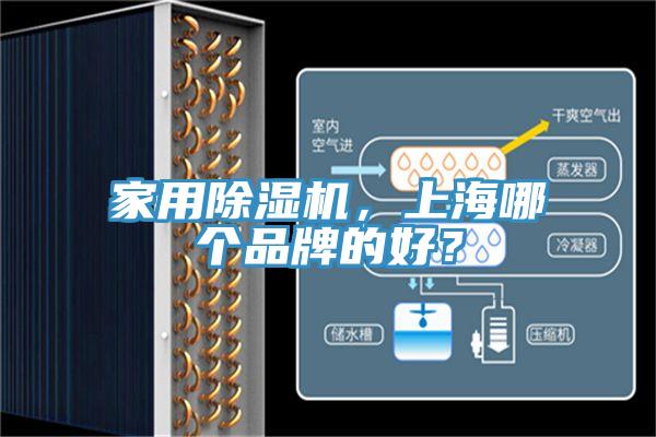家用除濕機(jī)，上海哪個(gè)品牌的好？