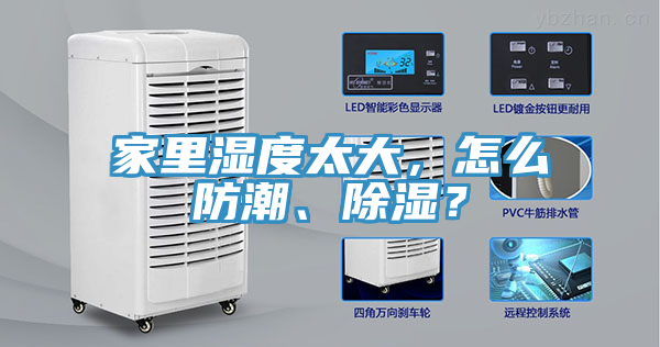 家里濕度太大，怎么防潮、除濕？