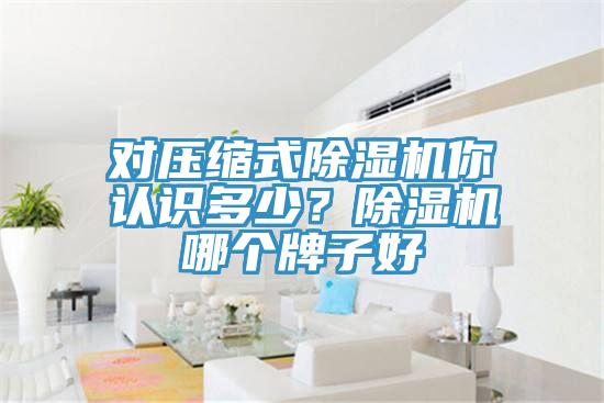 對(duì)壓縮式除濕機(jī)你認(rèn)識(shí)多少？除濕機(jī)哪個(gè)牌子好