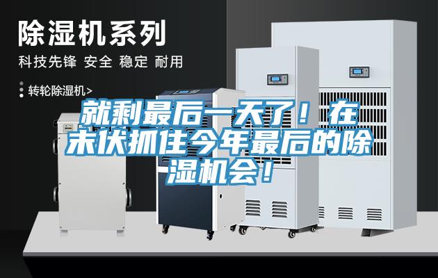 就剩最后一天了！在末伏抓住今年最后的除濕機會！