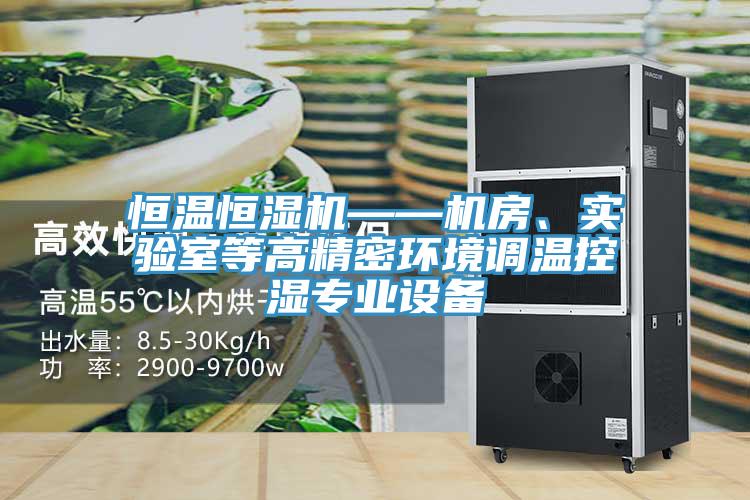 恒溫恒濕機——機房、實驗室等高精密環(huán)境調溫控濕專業(yè)設備