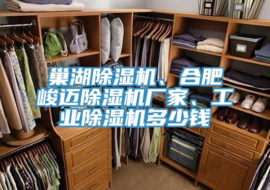 巢湖除濕機、合肥峻邁除濕機廠家、工業(yè)除濕機多少錢