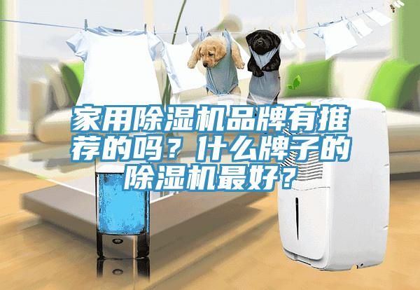 家用除濕機品牌有推薦的嗎？什么牌子的除濕機最好？