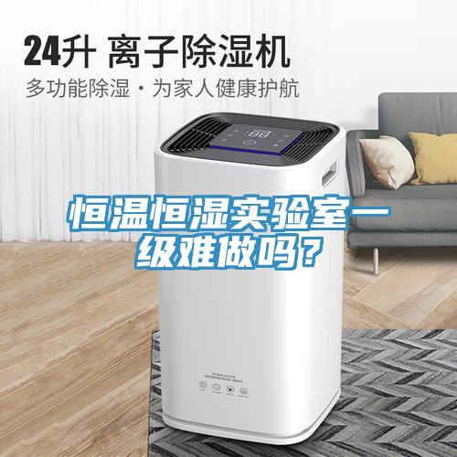 恒溫恒濕實(shí)驗(yàn)室一級難做嗎？