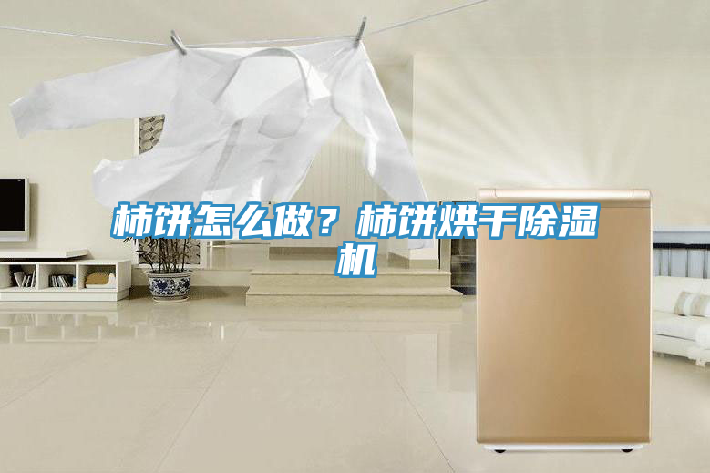 柿餅怎么做？柿餅烘干除濕機(jī)