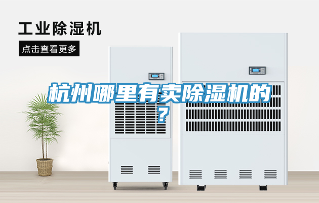 杭州哪里有賣除濕機的？