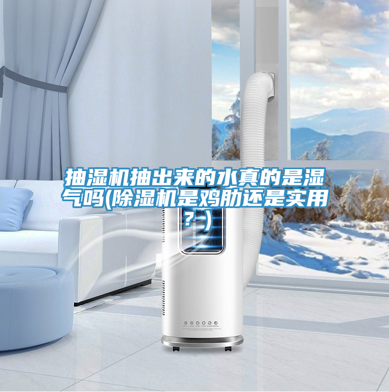 抽濕機抽出來的水真的是濕氣嗎(除濕機是雞肋還是實用？)