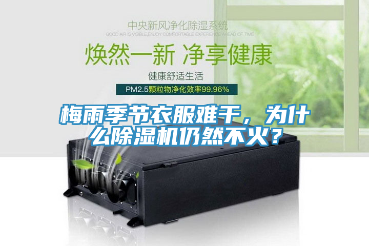 梅雨季節(jié)衣服難干，為什么除濕機仍然不火？
