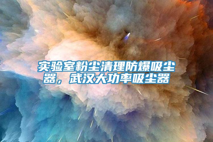 實驗室粉塵清理防爆吸塵器，武漢大功率吸塵器