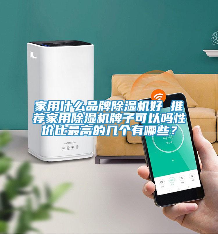 家用什么品牌除濕機好 推薦家用除濕機牌子可以嗎性價比最高的幾個有哪些？